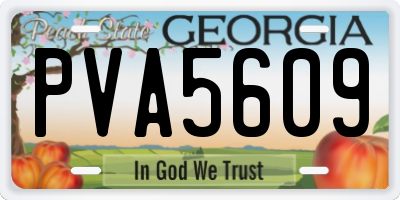 GA license plate PVA5609