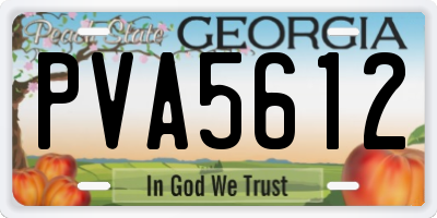 GA license plate PVA5612
