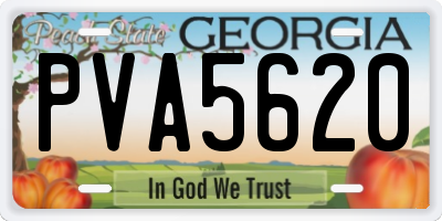GA license plate PVA5620