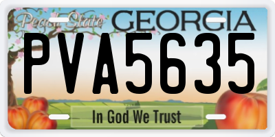 GA license plate PVA5635