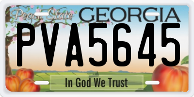 GA license plate PVA5645