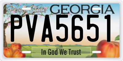 GA license plate PVA5651
