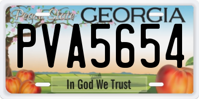 GA license plate PVA5654