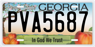GA license plate PVA5687