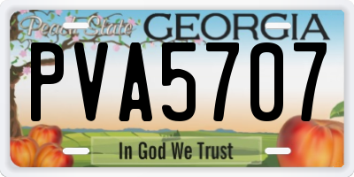 GA license plate PVA5707