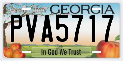 GA license plate PVA5717
