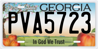 GA license plate PVA5723