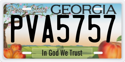 GA license plate PVA5757