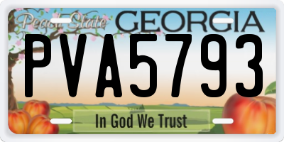 GA license plate PVA5793