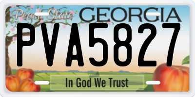 GA license plate PVA5827
