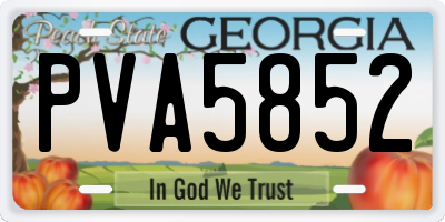 GA license plate PVA5852