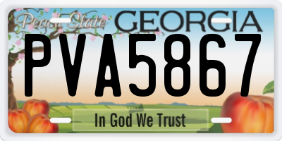 GA license plate PVA5867