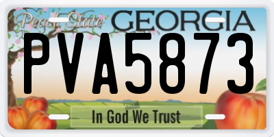 GA license plate PVA5873