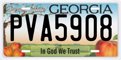 GA license plate PVA5908