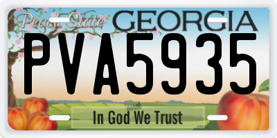 GA license plate PVA5935