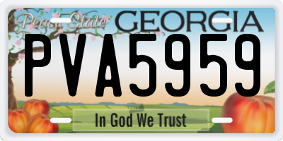 GA license plate PVA5959