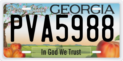 GA license plate PVA5988
