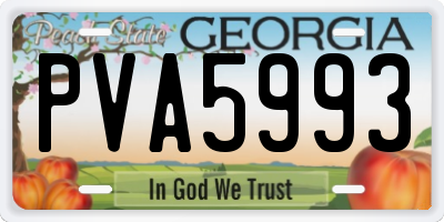 GA license plate PVA5993