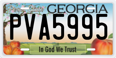 GA license plate PVA5995