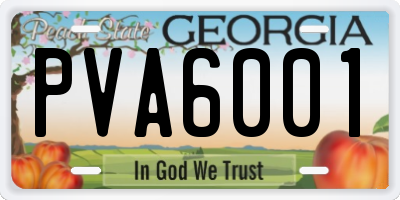 GA license plate PVA6001