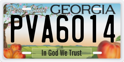 GA license plate PVA6014