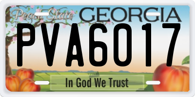 GA license plate PVA6017