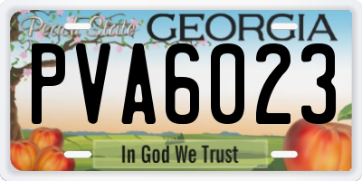 GA license plate PVA6023