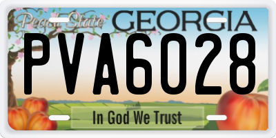 GA license plate PVA6028