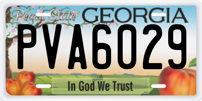 GA license plate PVA6029