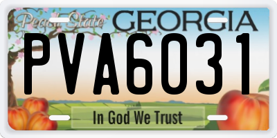GA license plate PVA6031