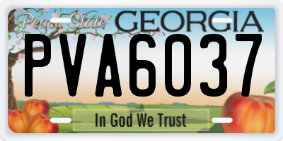 GA license plate PVA6037
