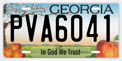 GA license plate PVA6041