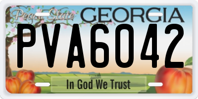 GA license plate PVA6042