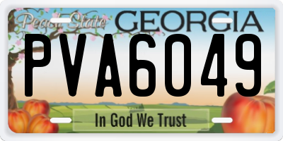 GA license plate PVA6049