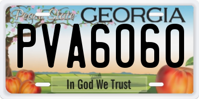 GA license plate PVA6060