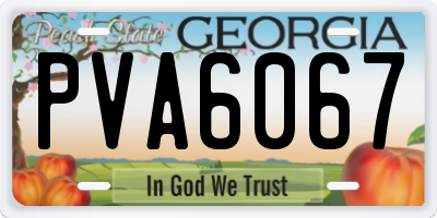 GA license plate PVA6067