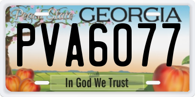 GA license plate PVA6077