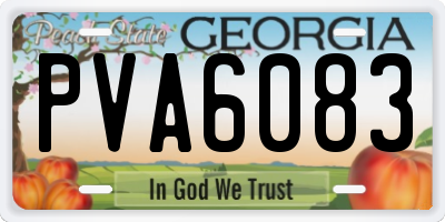 GA license plate PVA6083
