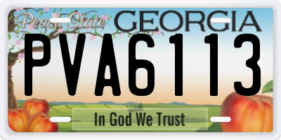 GA license plate PVA6113