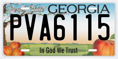 GA license plate PVA6115