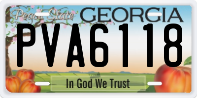 GA license plate PVA6118