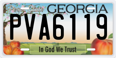GA license plate PVA6119