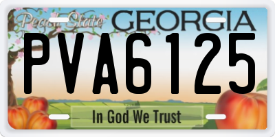 GA license plate PVA6125