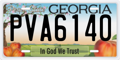 GA license plate PVA6140