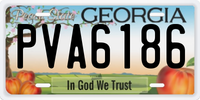 GA license plate PVA6186