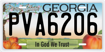 GA license plate PVA6206