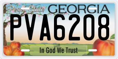 GA license plate PVA6208