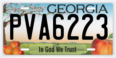 GA license plate PVA6223