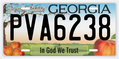 GA license plate PVA6238