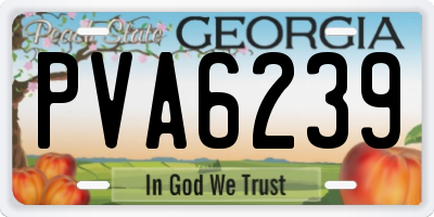 GA license plate PVA6239
